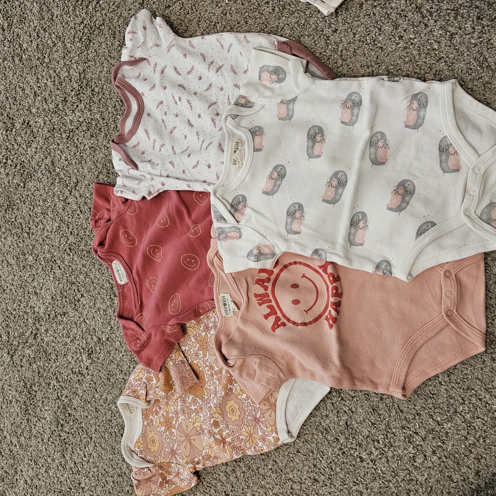 Set of Baby Onesies in Pink and White